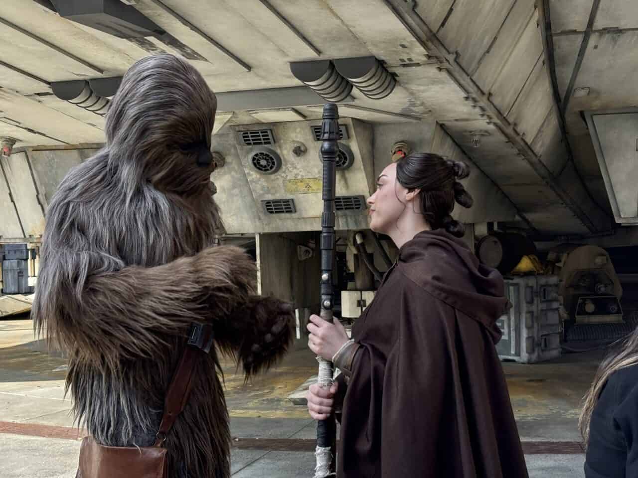Chewbacca Rey