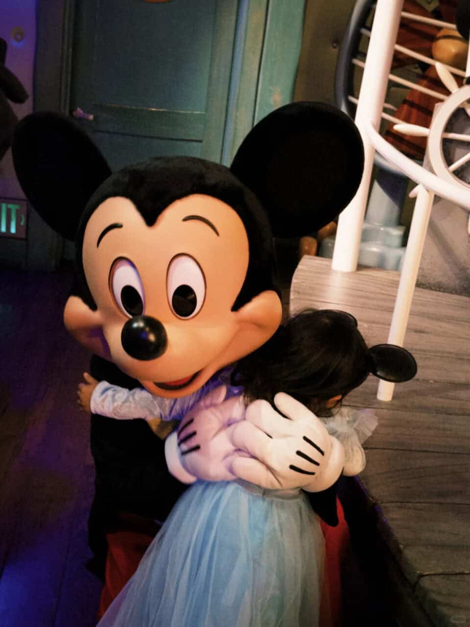 Dl Meet And Greet Mickey