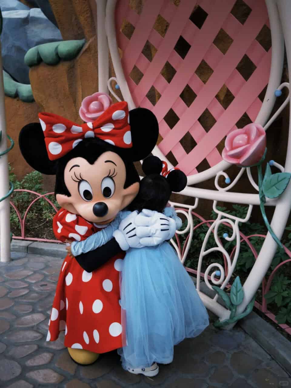 Dl Meet And Greet Minnie