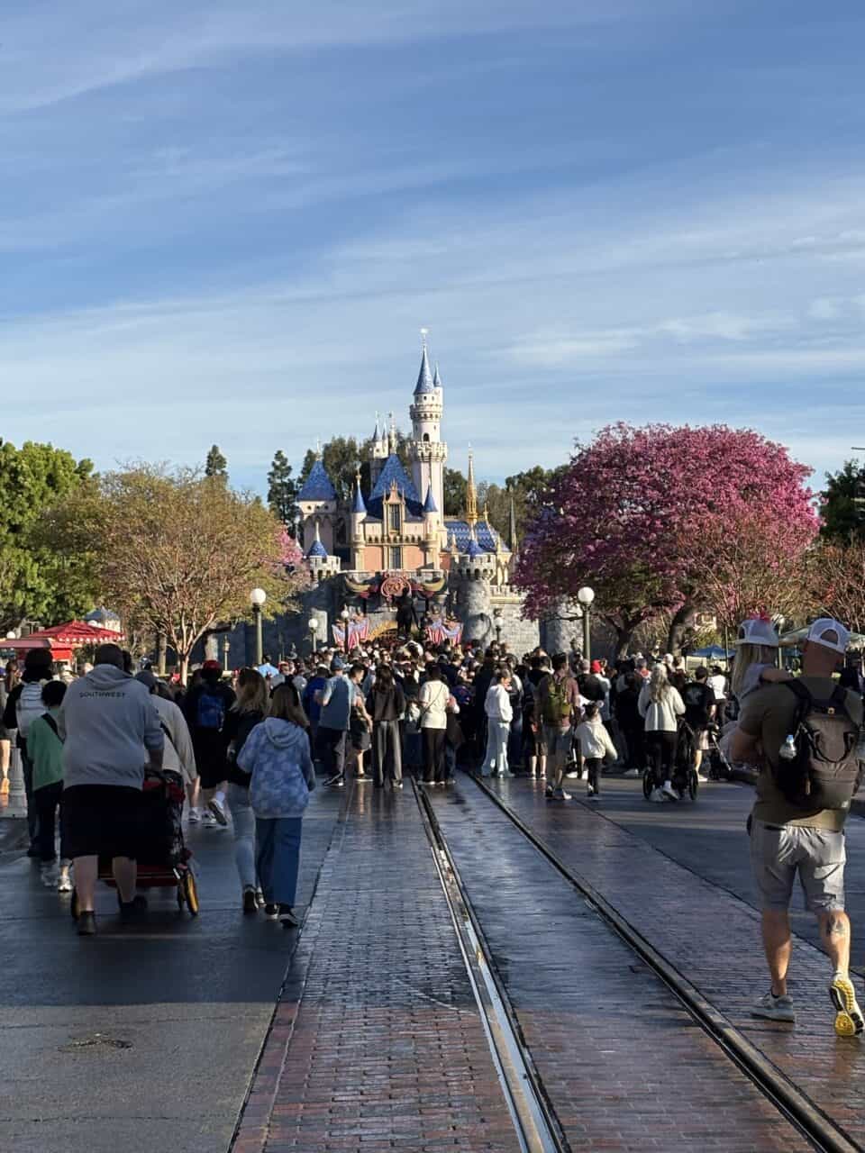 Dl Sleeping Beauty Castle 1
