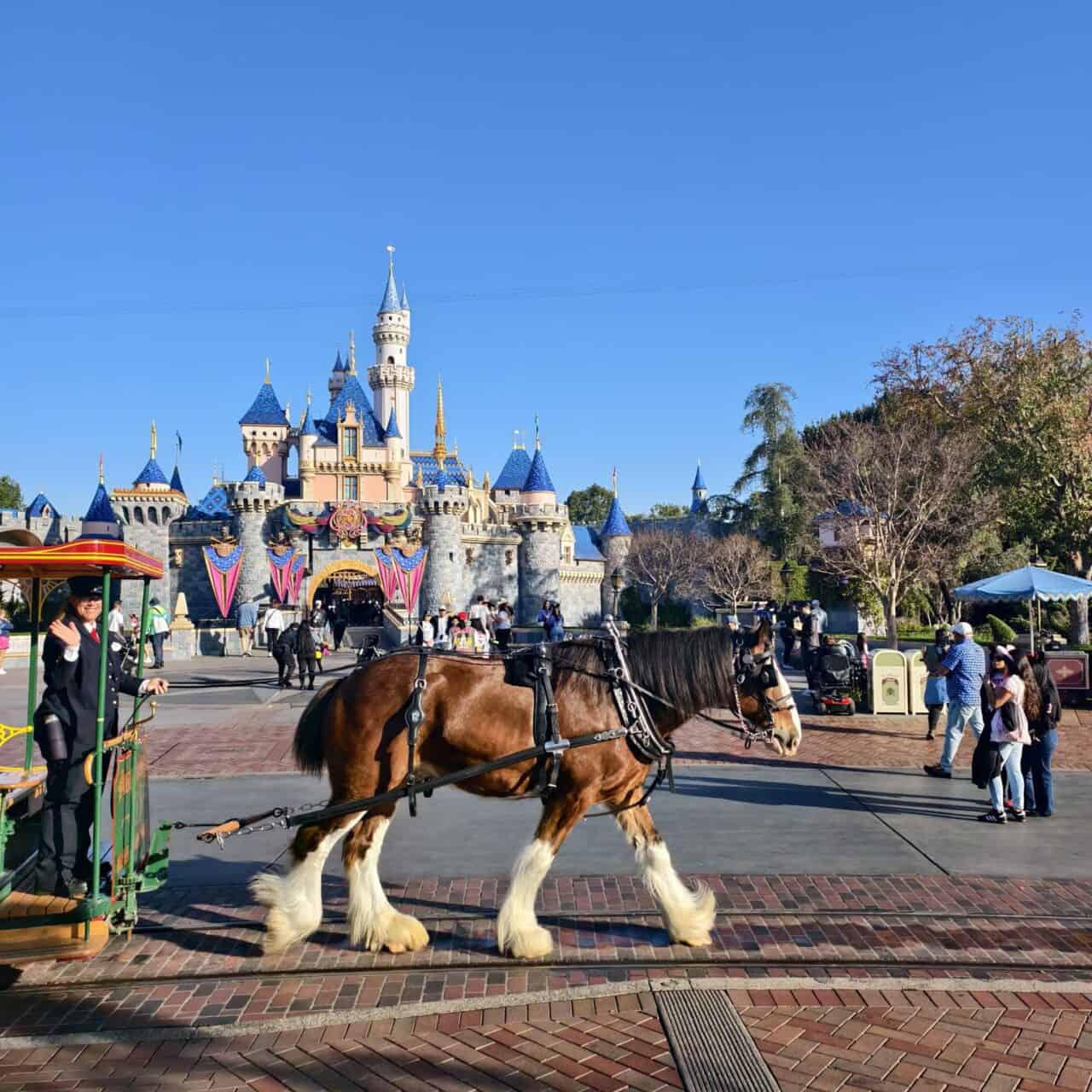 Dl Sleeping Beauty Castle Horse