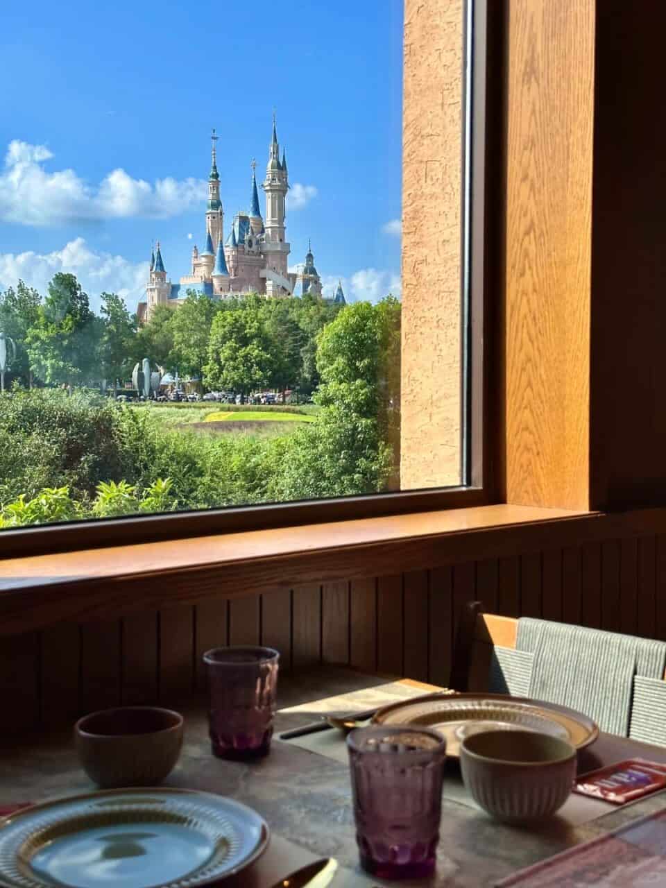 Disneytown Castle View