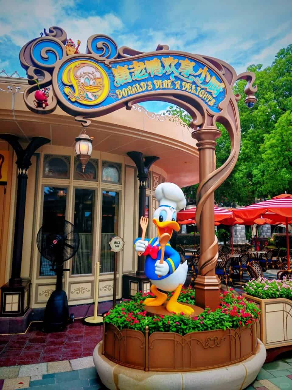 Disneytown Donald