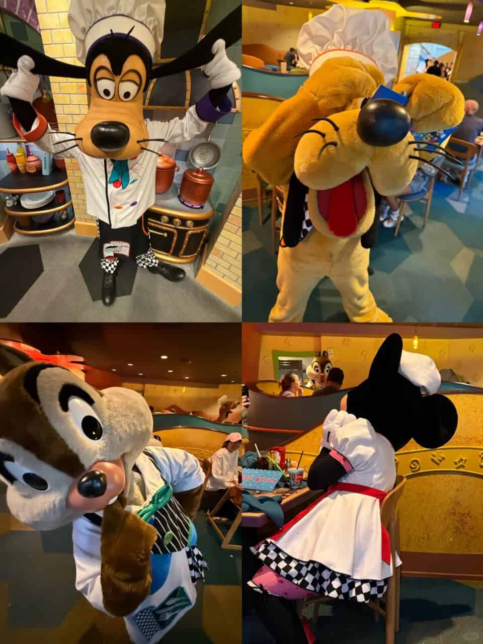 Goofys Kitchen 1