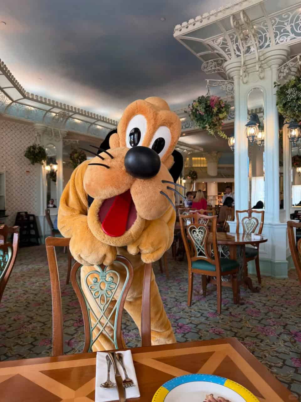 Hong Kong Disneyland Hotels Enchanted Garden 1