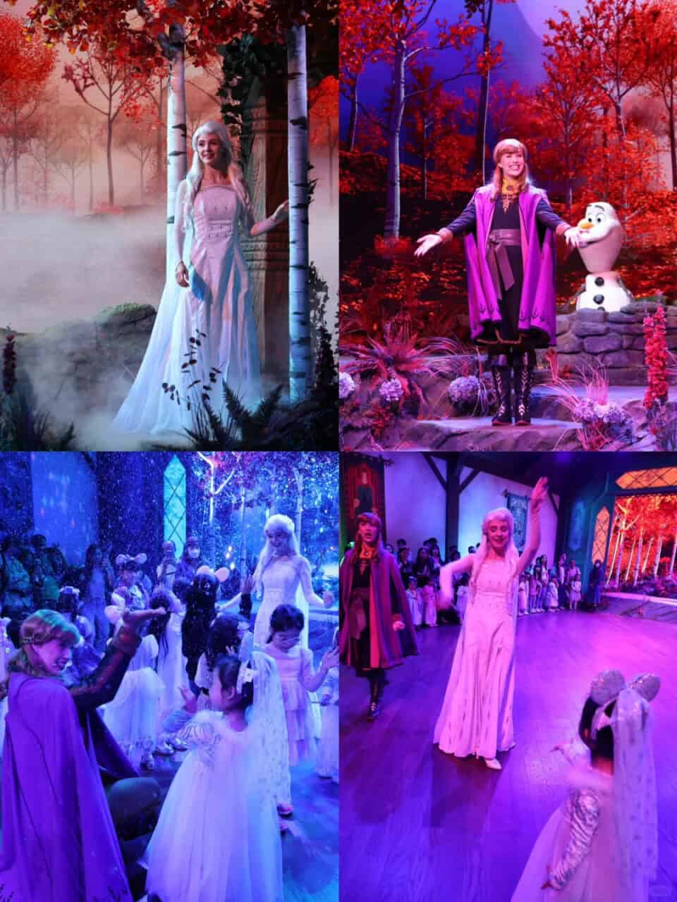 Playhouse In The Woods Interactive Show World Of Frozen