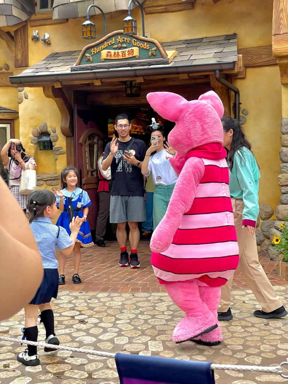 Shdl Piglet Meet And Greet | 遊迪士尼 Your Disney