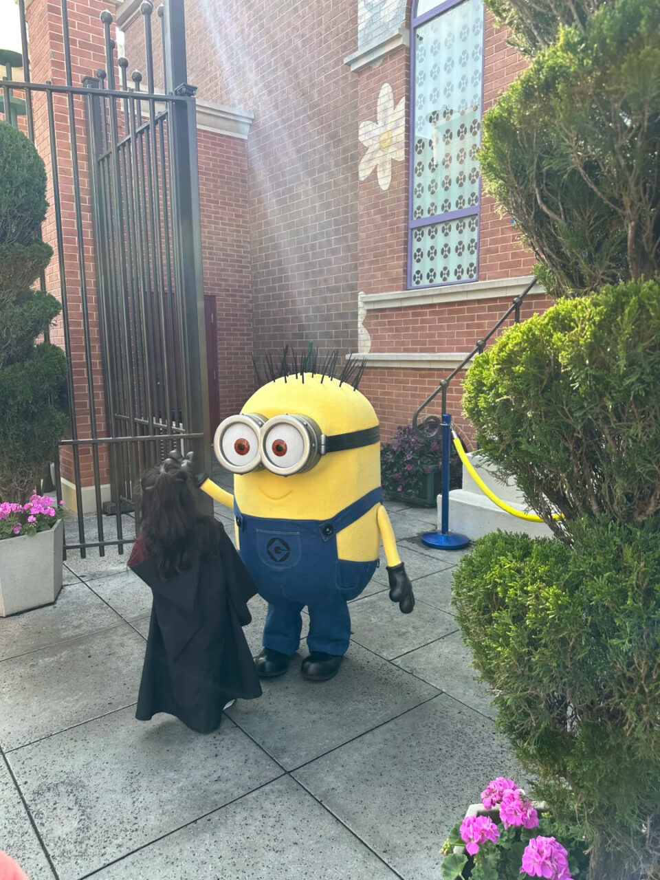 Ush Minions | 2026 好萊塢環球影城親子攻略 — 帶小孩怎麼玩最聰明 Ush Minions