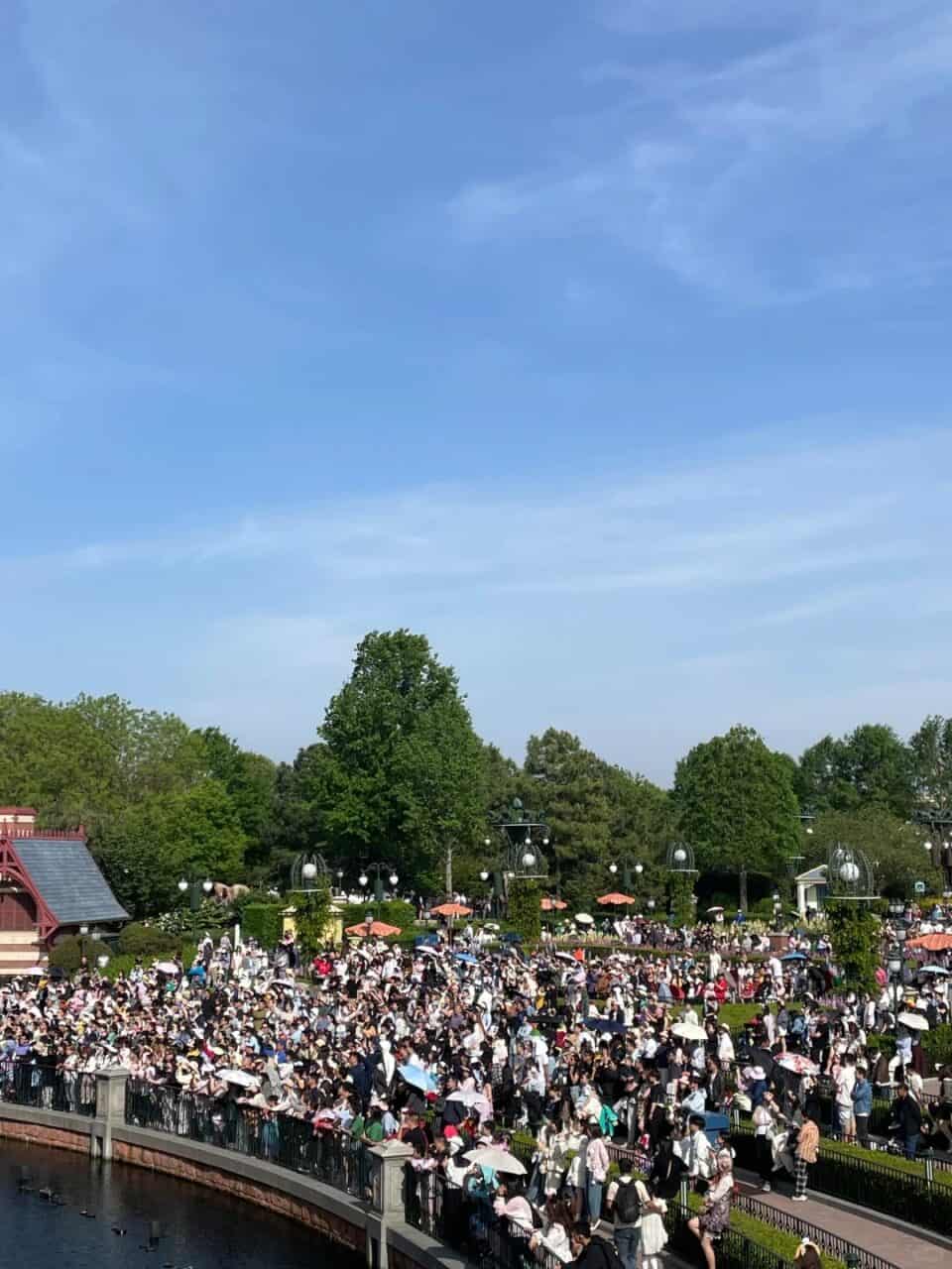 Shd Crowd