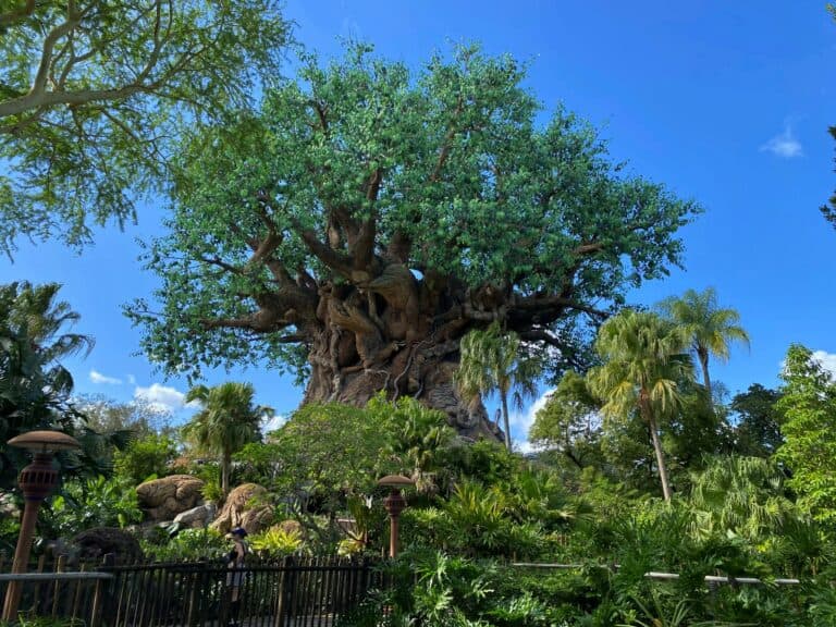 迪士尼动物王国生命之树Animal Kingdom Tree Of Life
